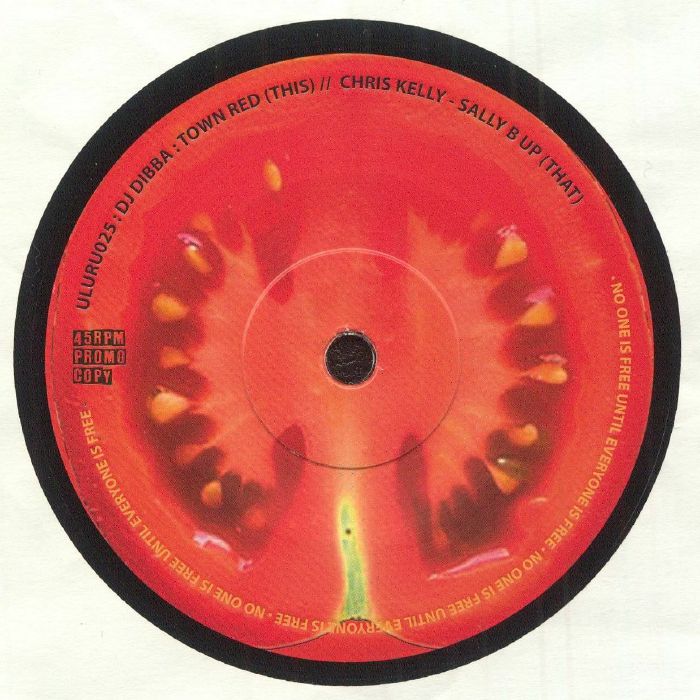 Chris KELLY / DJ DIBBA - Sally B Up (7")