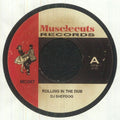 DJ SHEPDOG - Rolling In The Dub (7")